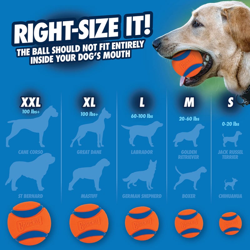 Chuckit! Chuck It Ultra Ball, Large/Grande, Orange (2 Pack) - Image 3